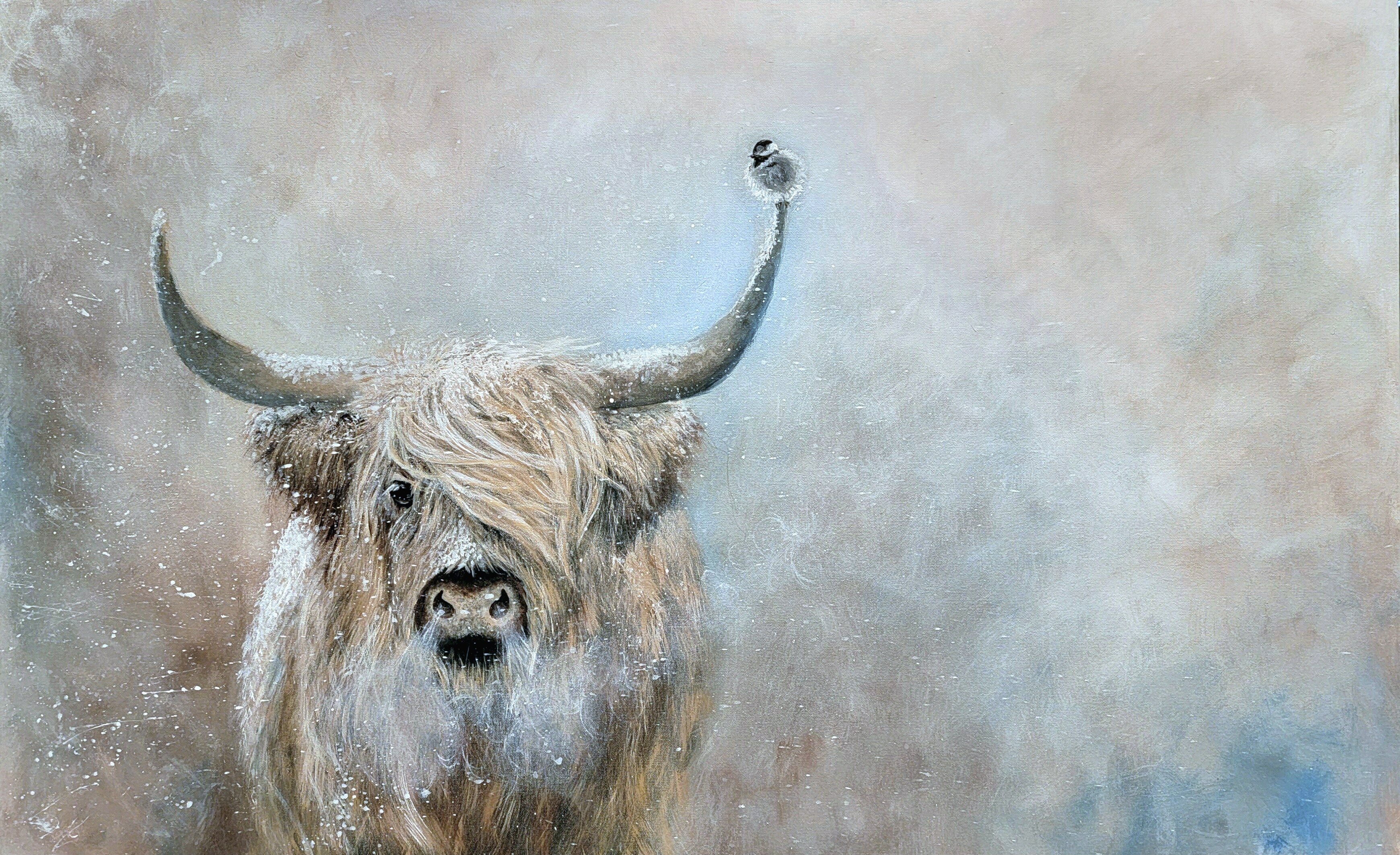 deneena hughes allcreaturesgreatandsmall 1